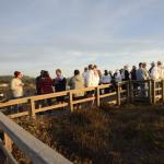 cambria_353 (November 03, 2018)